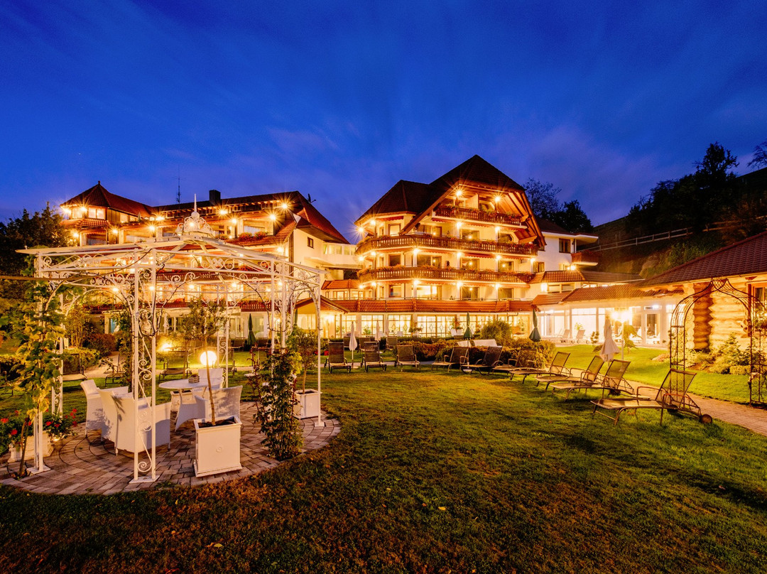 Schweighausen酒店住宿-Hotel Ludinmuhle