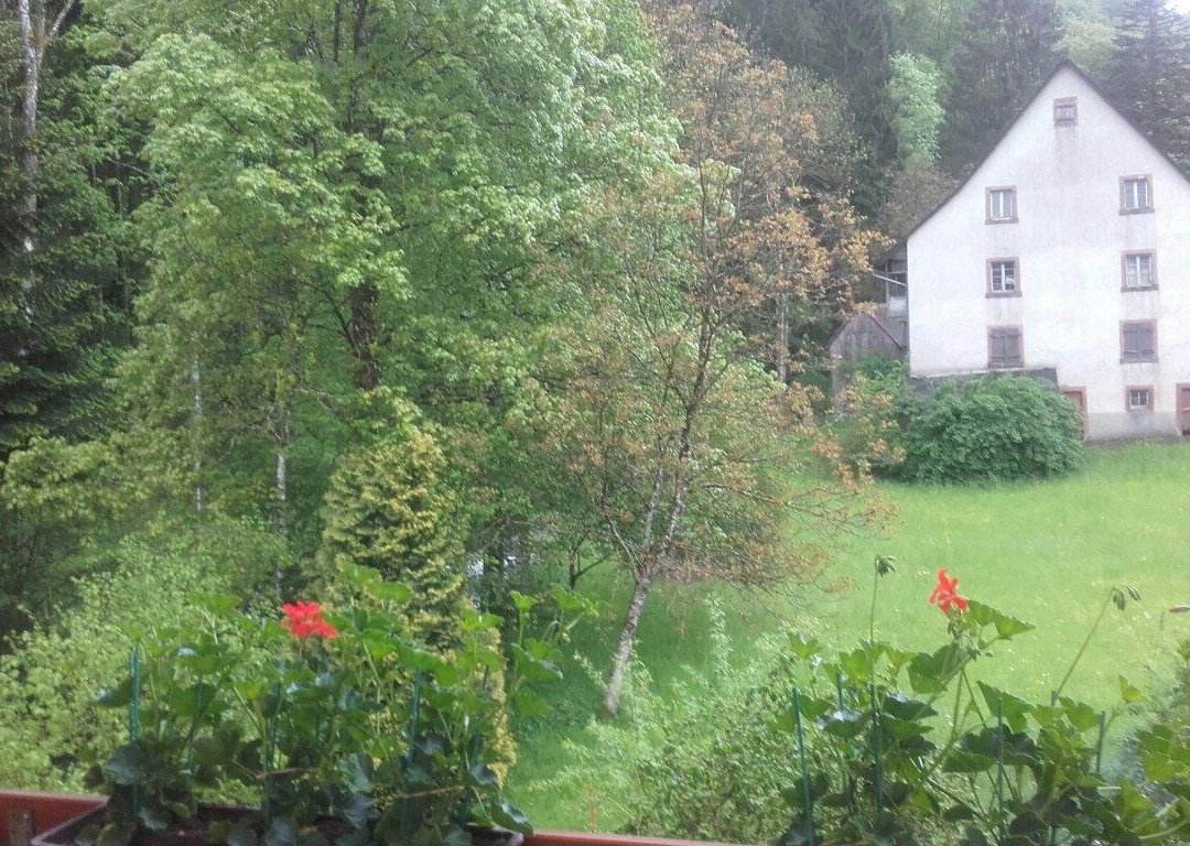 Simonswald酒店住宿-Gasthaus Zur Erle