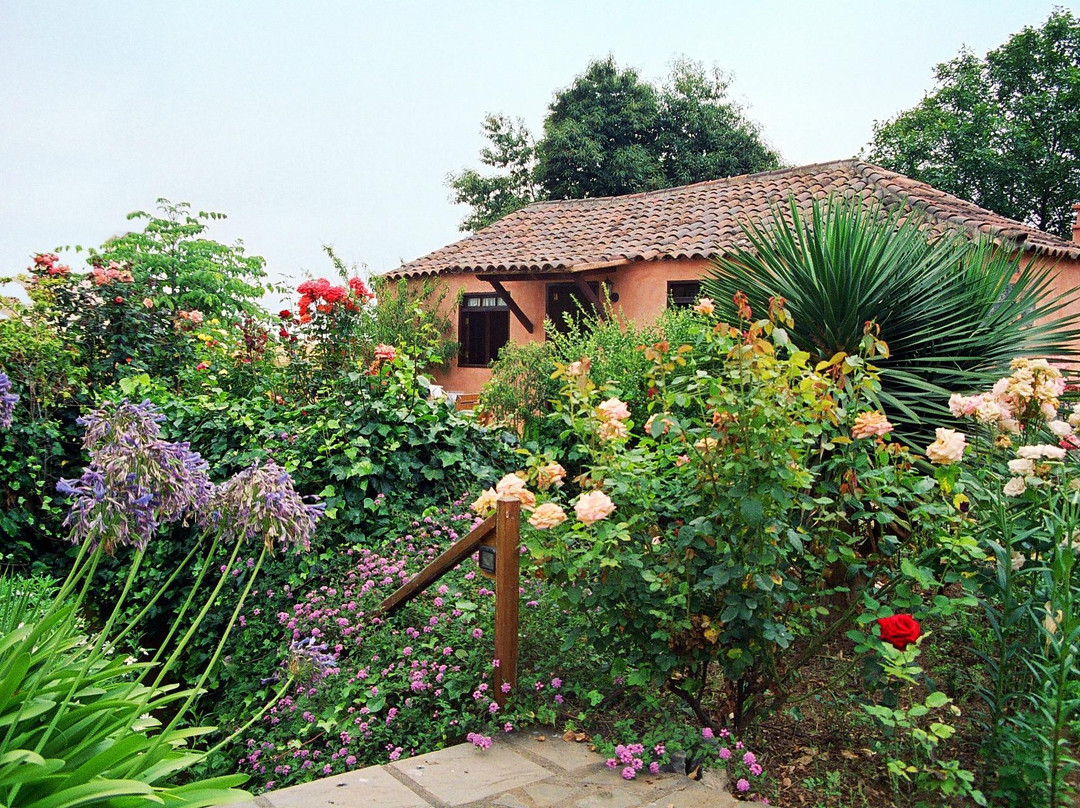 Los Realejos酒店住宿-Finca Rural Las Llanadas