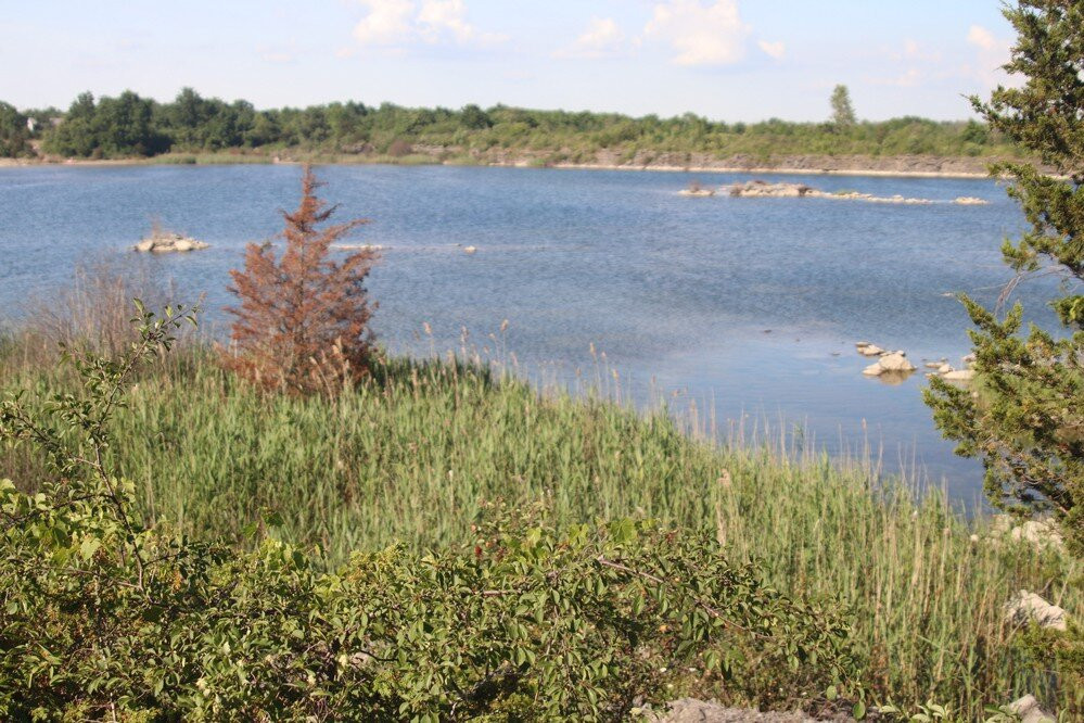 Wainfleet Wetlands Conservation Area-Wainfleet必去景点