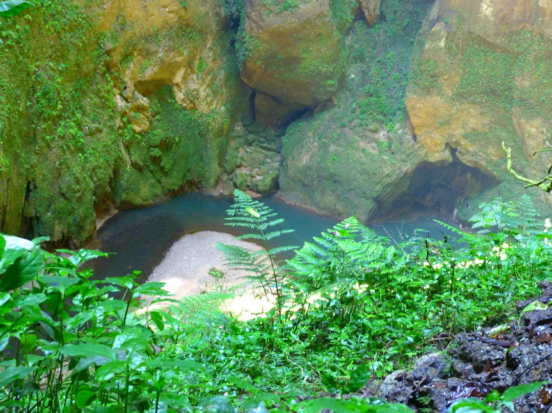 Clara Cave (Cueva Clara)景点图片