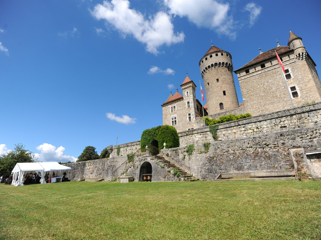 Le Château de Montrottier景点图片