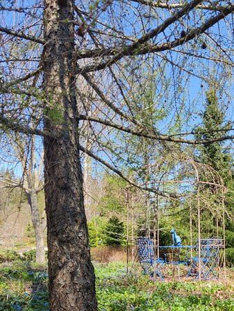 Arboretum Magnolia-Lohja必去景点