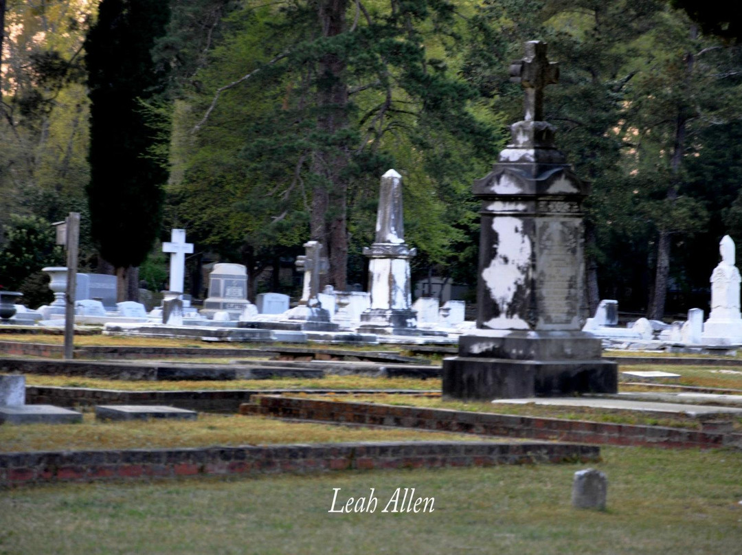 Fairview Cemetery景点图片