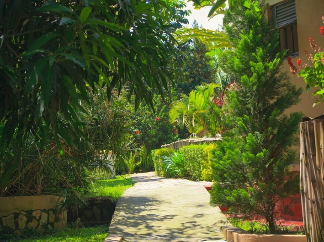 Montane Safaris Hotel主图