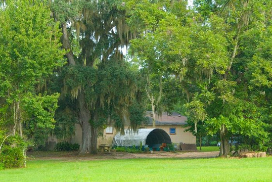 Miccosukee旅游景点-Bradfordville Blues Club