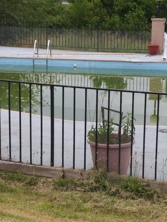 Mariann Travel Inn主图