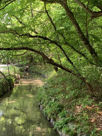Sangnim Park-咸阳郡必去景点