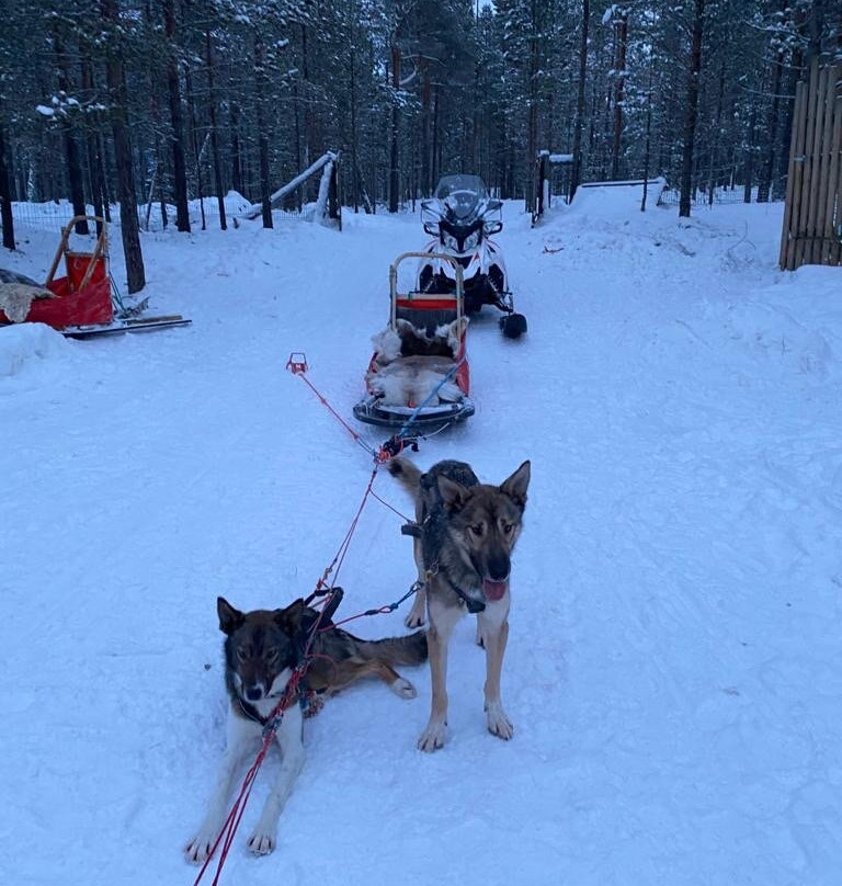 Arctica Lapland-伊瓦洛必去景点