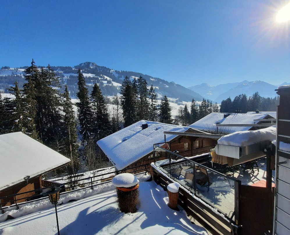 Hotel Alpenrose Schönried Bei Gstaad主图