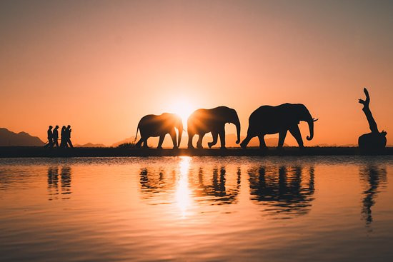 卓美亚狩猎酒店主图