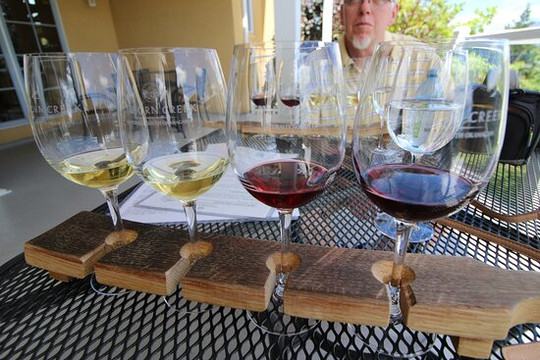 Vivid Tours-基洛纳必去景点