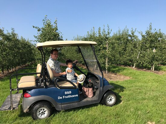 B&B De Fruithoeve主图