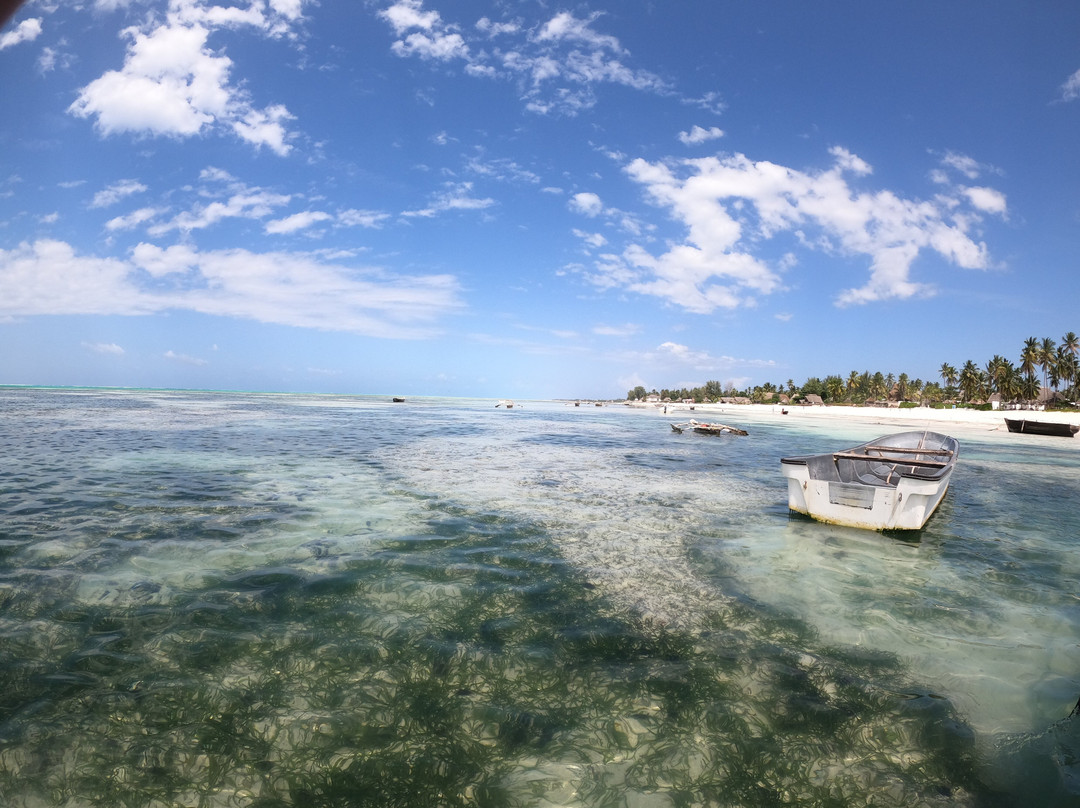 Aquatic Diving Zanzibar景点图片