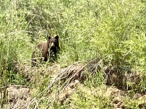 Colorado River Guides-Bond必去景点