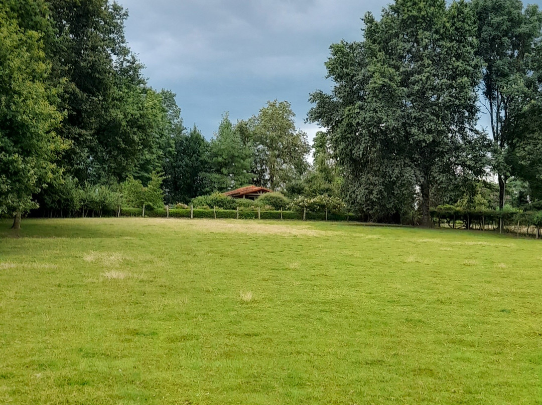 Chalets du Pontot