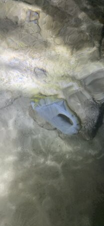 Shark's Cove-哈雷瓦必去景点