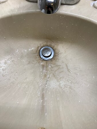 The Hotel Laurel at Seneca主图