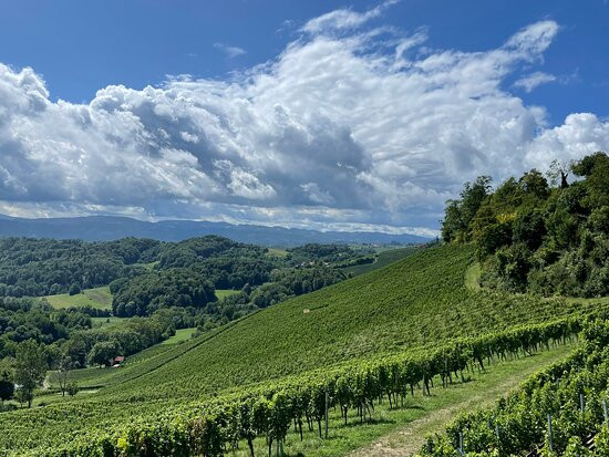 Weingut Tement-Berghausen必去景点