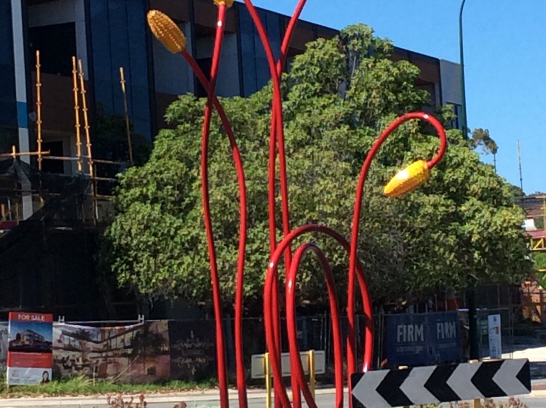 The Coming Of The Colours