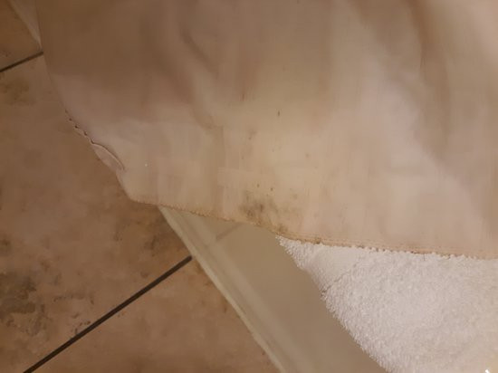 Quality Inn & Suites Wellington - Fort Collins主图