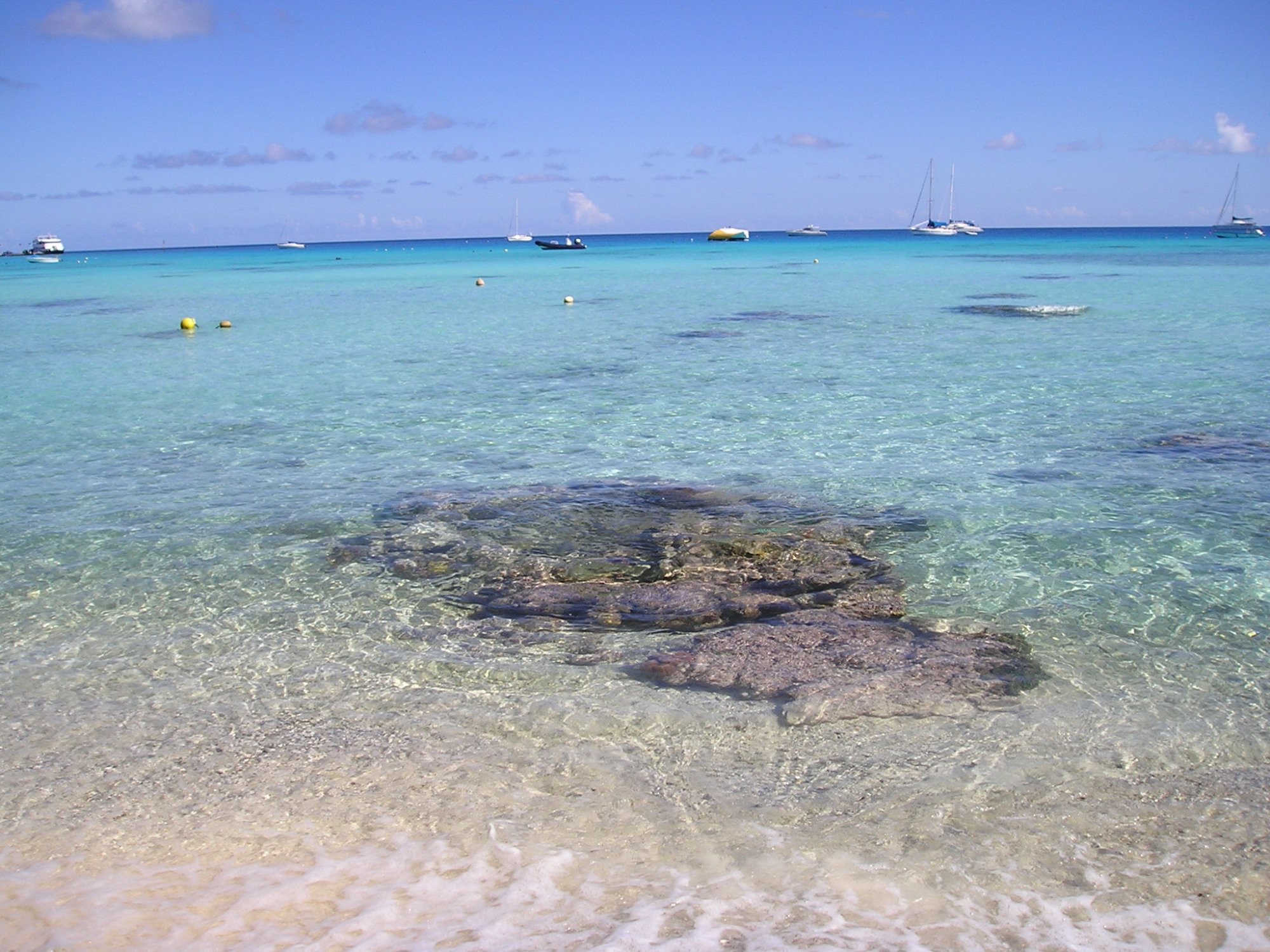 Bounty Rangiroa - Lodge & Boutique Hotel-官方