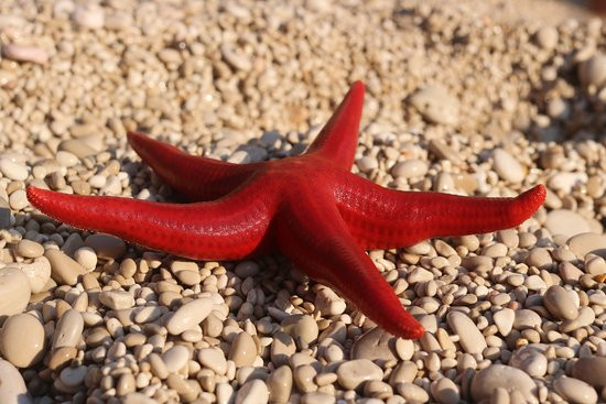 Sofo Hotel Dhermi主图