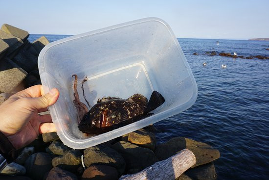 Minshuku Sakaemaru主图