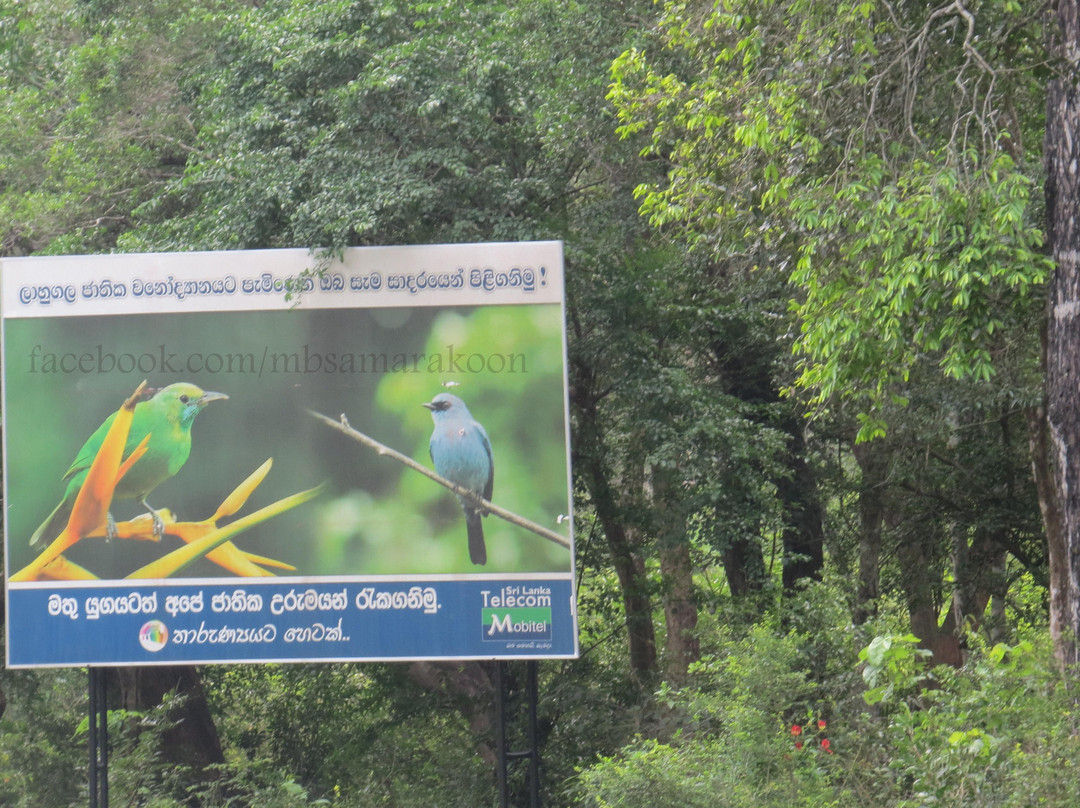 Ampara旅游景点-Lahugala Kitulana National Park