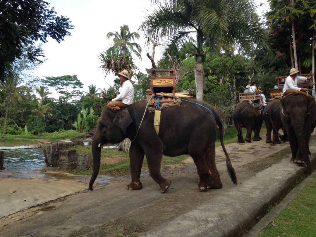 巴厘大象营景点图片
