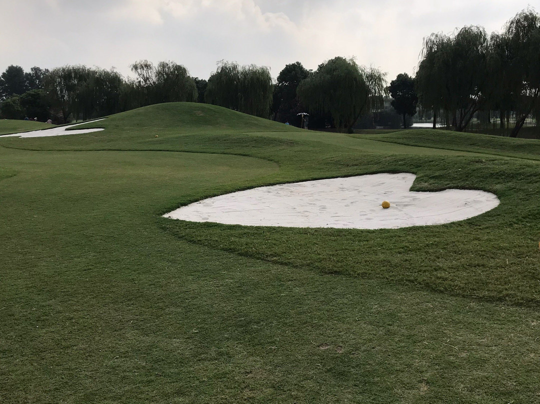 高尔夫酒店主图