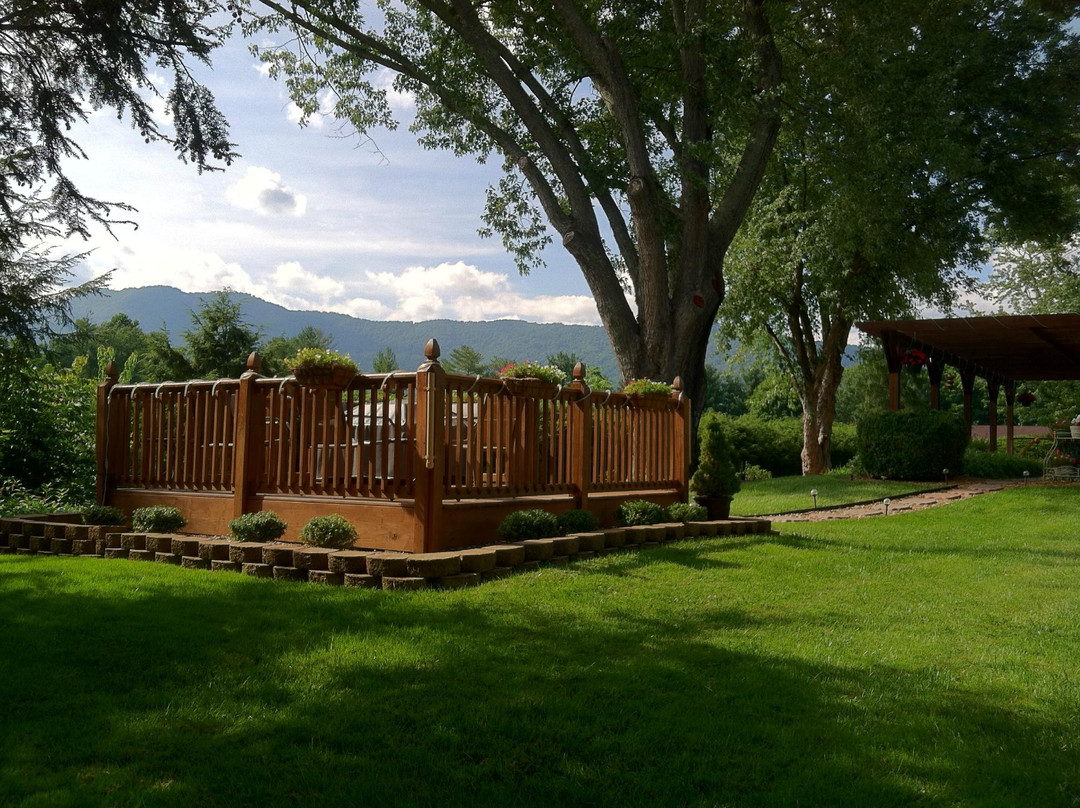 韦恩斯维尔酒店住宿-Brookside Mountain Mist Bed & Breakfast