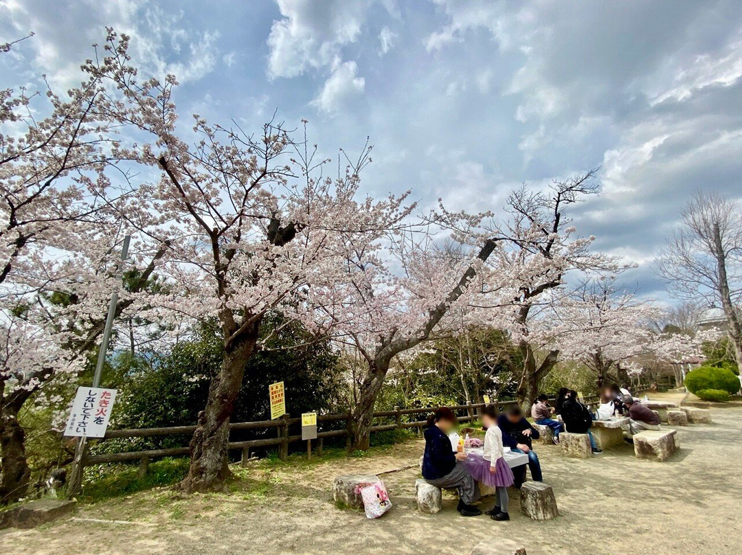 Kokei Park