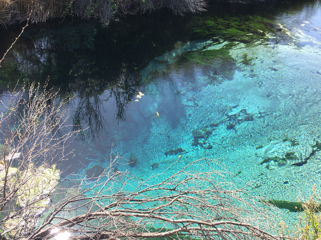 Ash Meadows National Wildlife Refuge景点图片