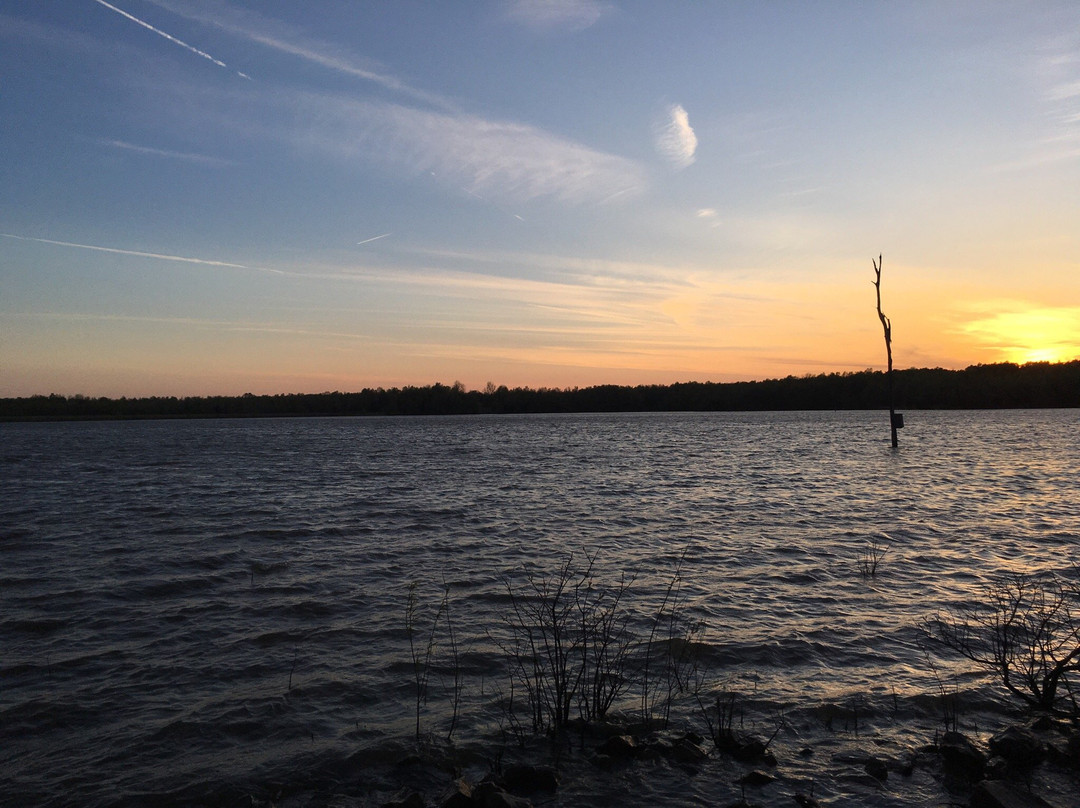 Lake Frierson State Park景点图片