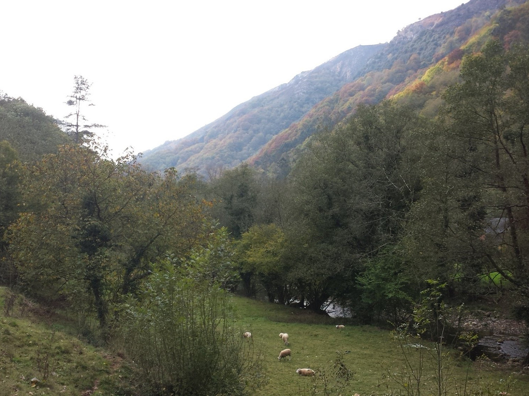 Belmonte de Miranda旅游攻略图片