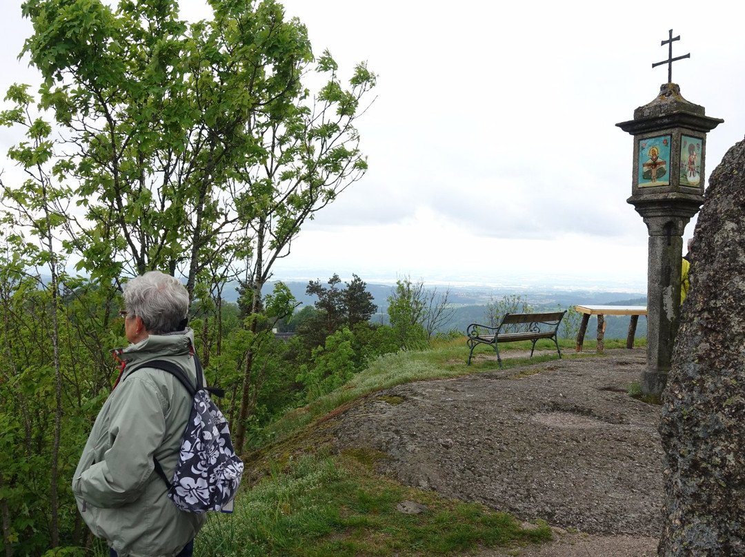 Waldhausen im Strudengau旅游攻略图片