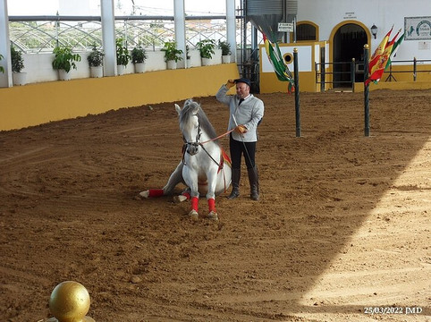 Club Ecuestre La Arboleda-Sanlucar de Barrameda必去景点