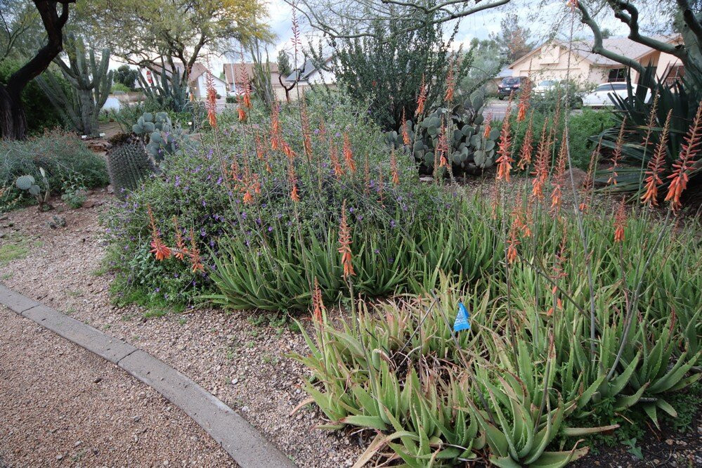 Glendale Public Library-格兰岱尔必去景点