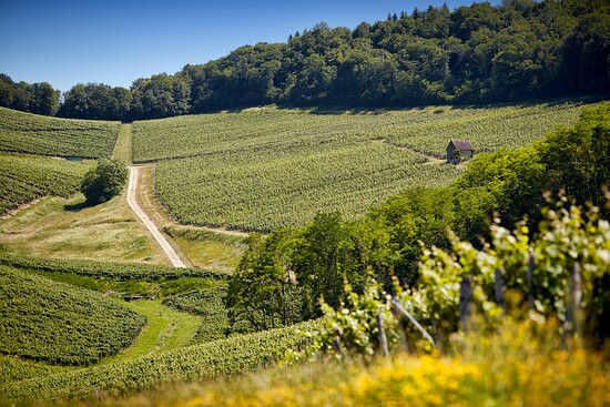 Domaine Rolet