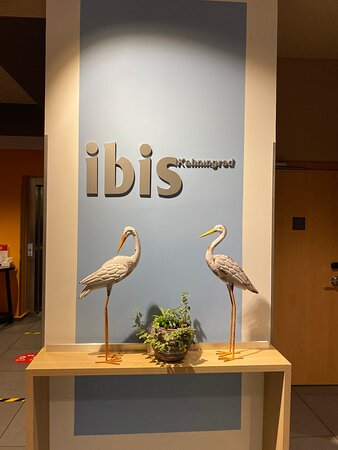 ibis Kaliningrad Center-浴室