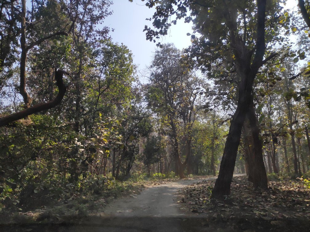 Corbett Falls景点图片