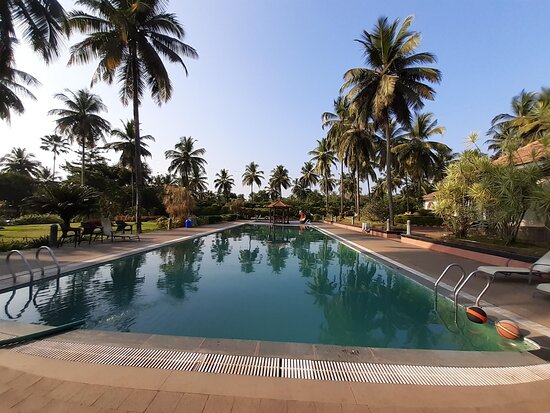 Tinton Adventure Resort-泳池