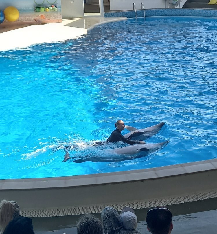 Dolphinarium Koktebel-Koktebel必去景点