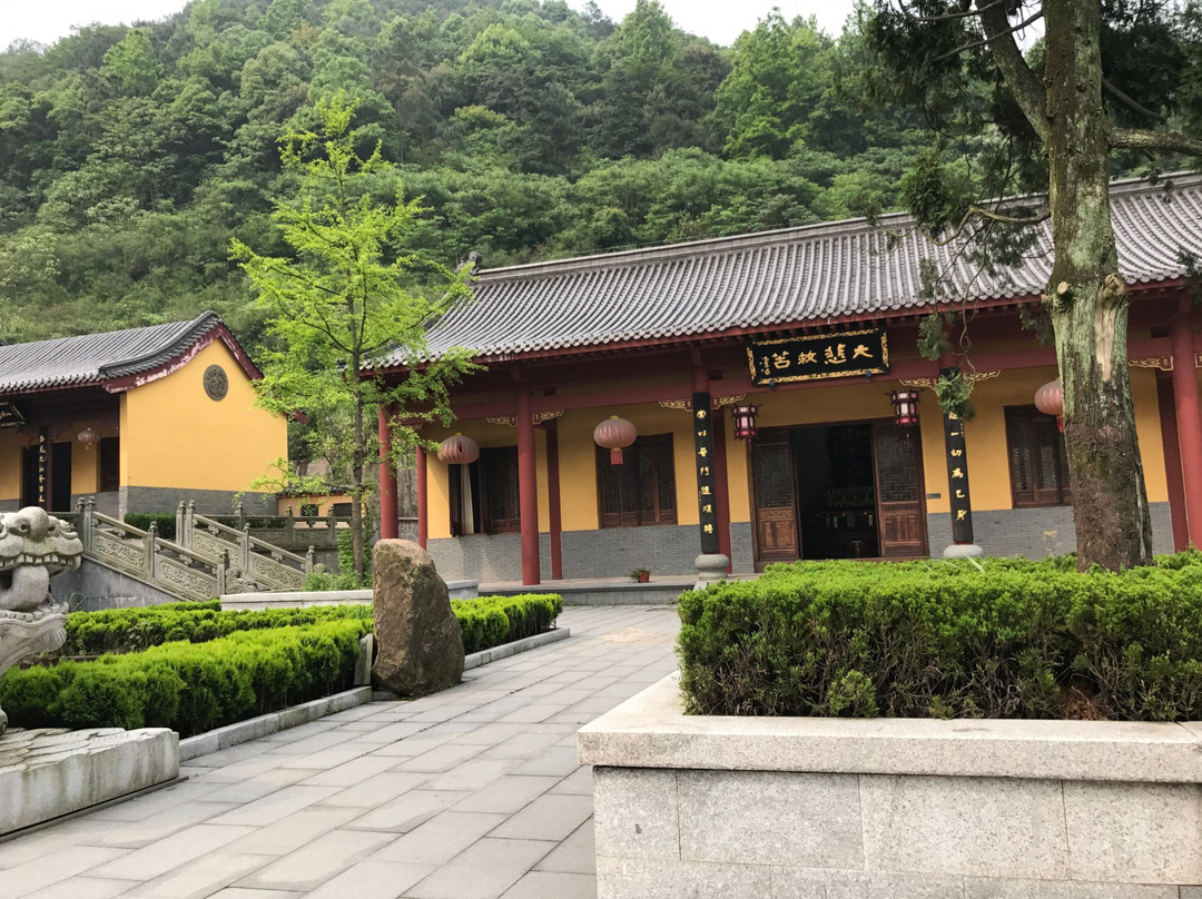 仙女湖佛教文化博览园景点图片
