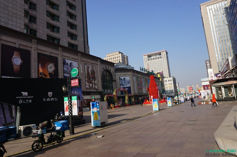 大连青泥洼商业街-大连市必去景点