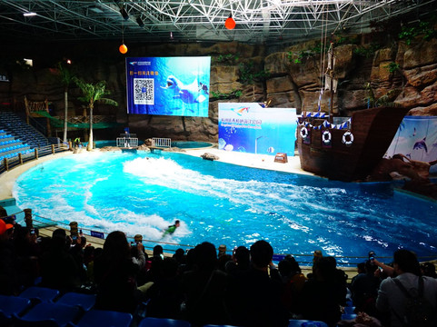 杭州极地海洋世界-杭州市必去景点