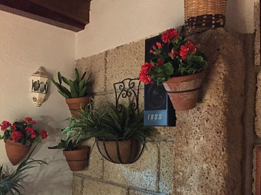 Buzanada餐馆和美食-Tasca el granero