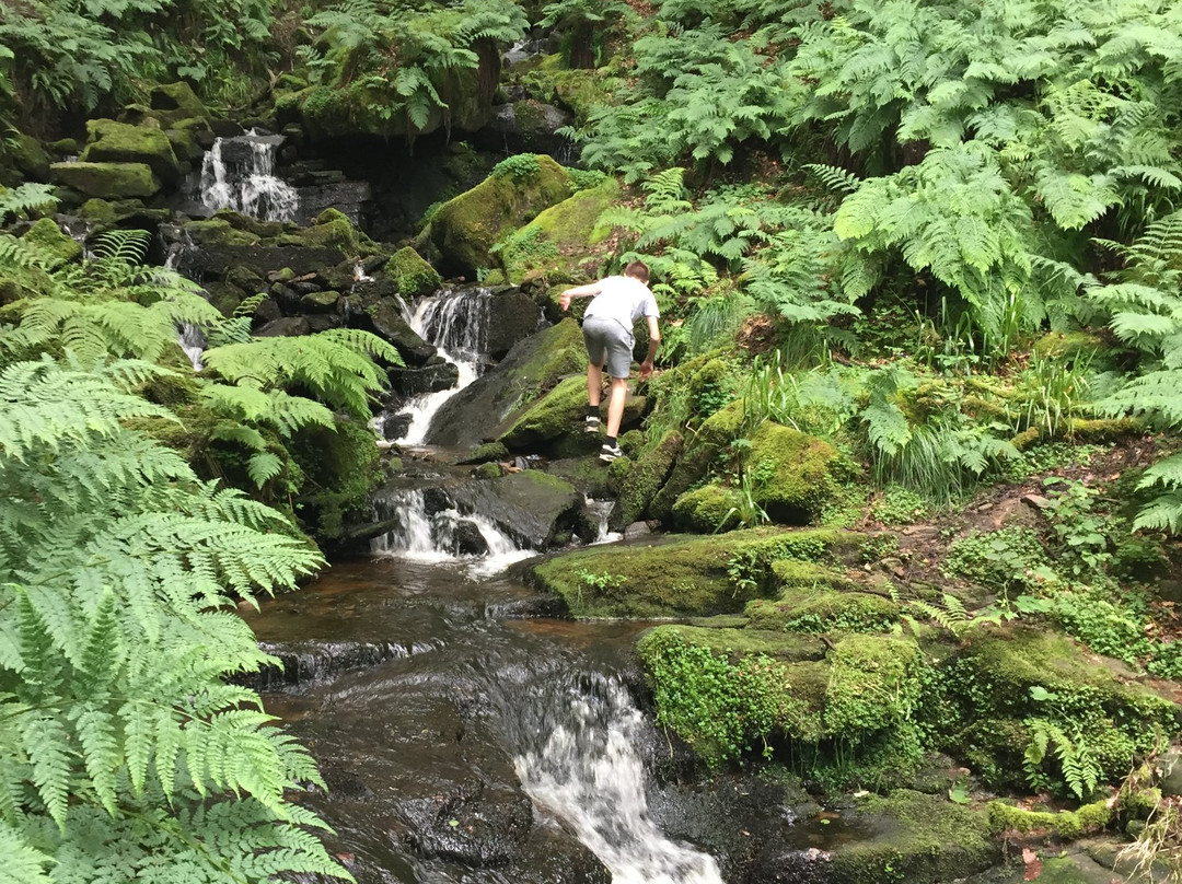 Hebden Bridge旅游攻略图片