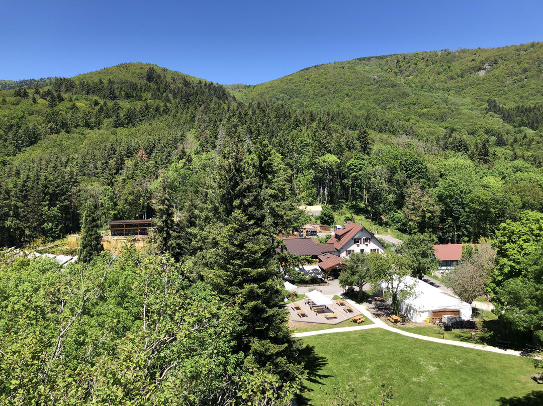 Berrwiller餐馆和美食-L'Auberge du Hirtz